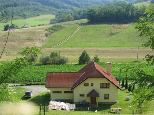 svah, dom, Lipovany