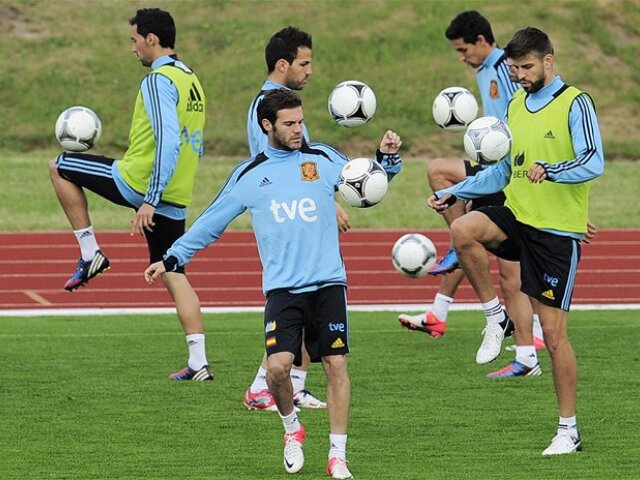 spanieli trening