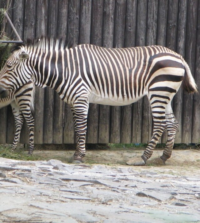 ZOO Bojnice