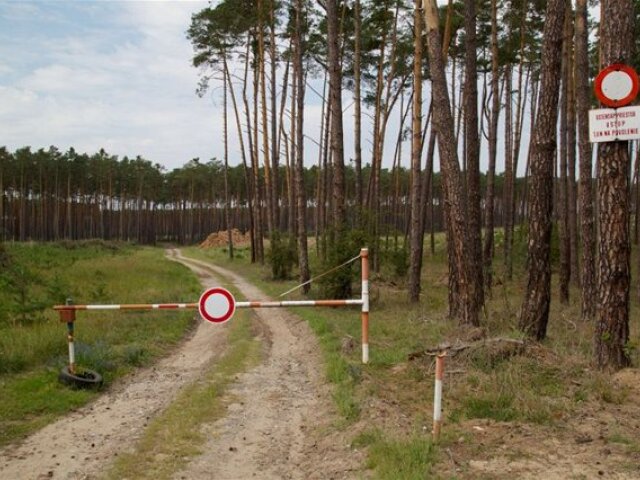 vojenské lesy, stromy 