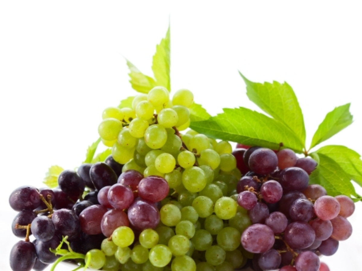 Doplňte si antioxidanty