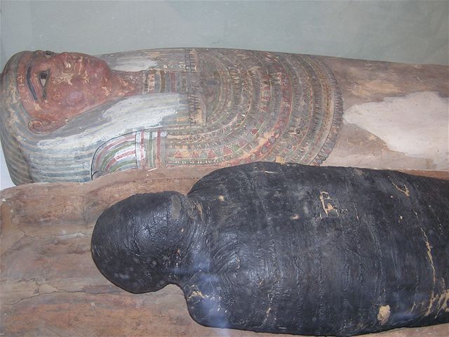 múmia, múzeum