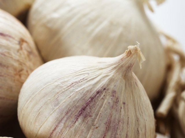 Cesnak – kašlite na zápach, ochráni vás po celý rok