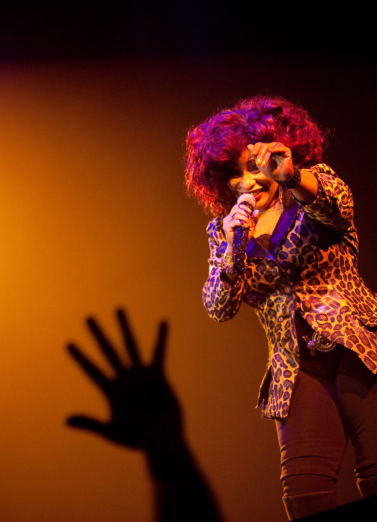 KONCERT: Chaka Khan