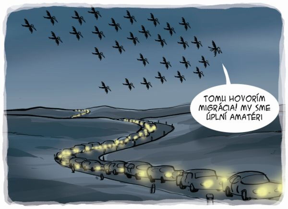 Danglár, 3.11.2012