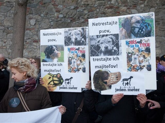 protest, psíčkari, parlament