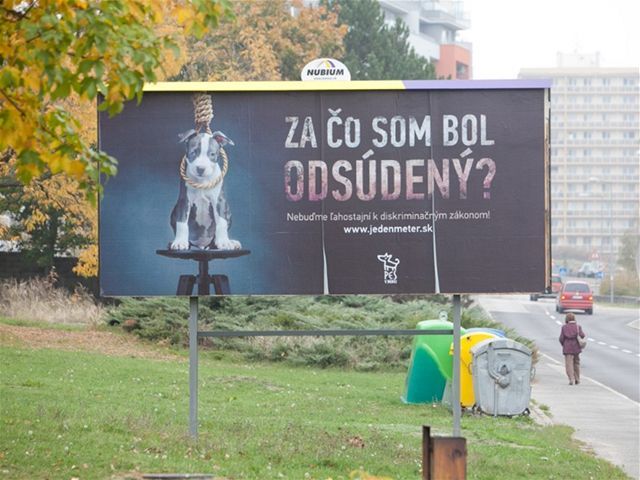 pes, bilbord