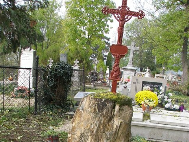 strom, hrob, cintorín, borbáš