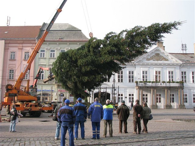 Vianoce, vianočný strom, Košice