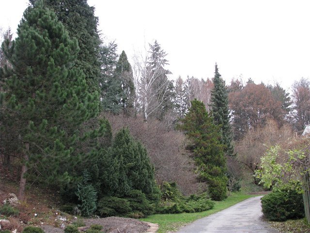 botanická