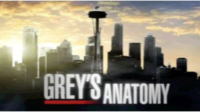 Grey´s Anatomy - dosiahnu vytúžené šťastie na druhý pokus?