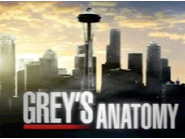 Grey´s Anatomy - dosiahnu vytúžené šťastie na druhý pokus?