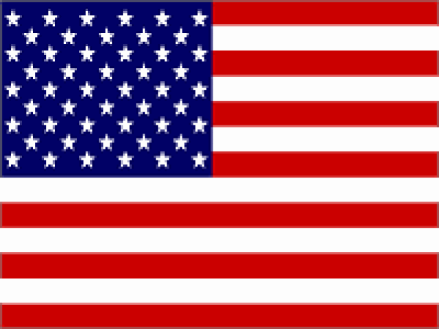 P284302e2 USA Flag