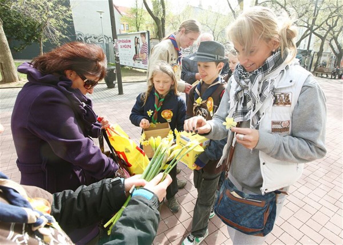 den narcisov, skaut, skauting, charita