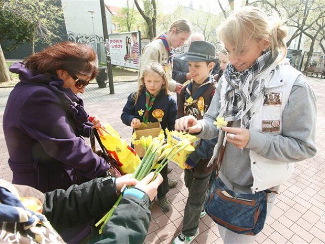 den narcisov, skaut, skauting, charita