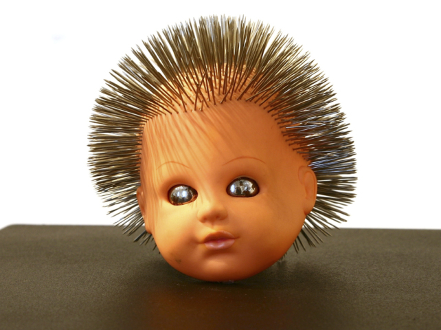 Miloš Kopták: Hedgehog - Jež