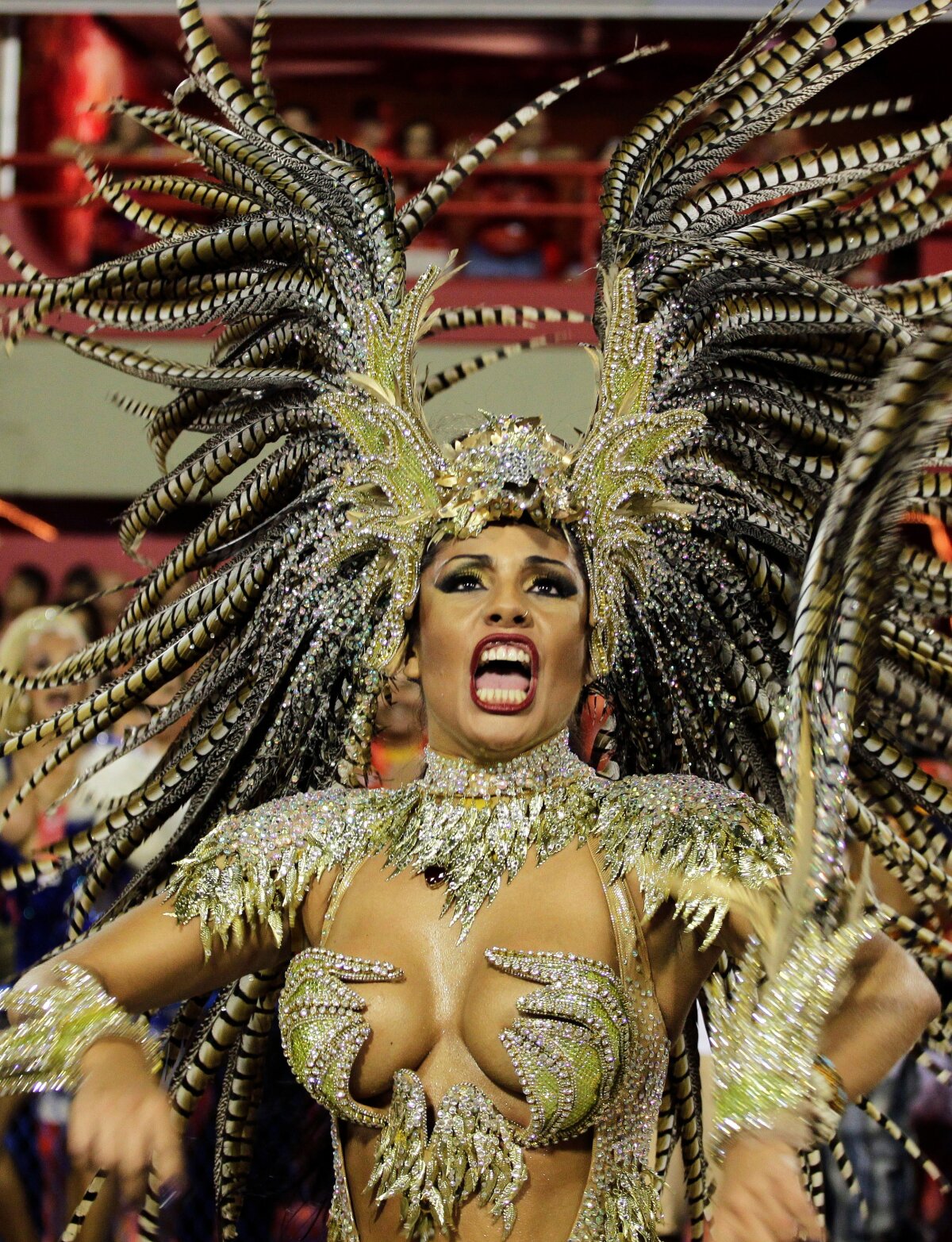 Rio de Janeiro, karneval