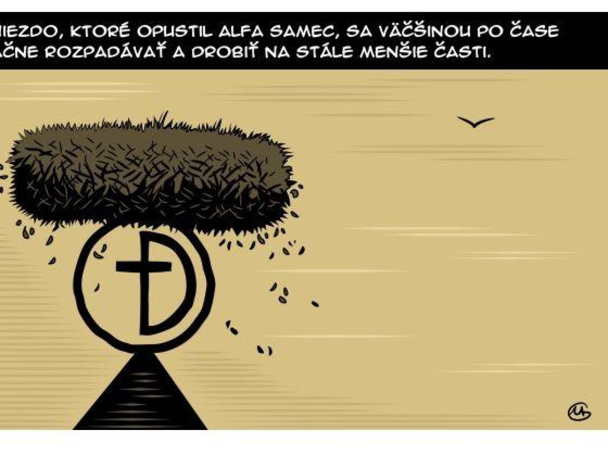 Gašparec, 19.2.2013