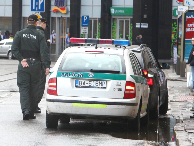 policia, policajt, hliadka, kontrola dokladov, vodic, pokuta