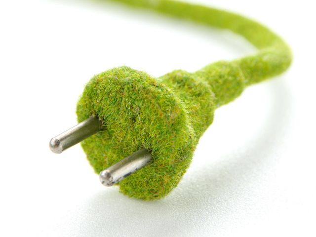 Elektrina, ekológia