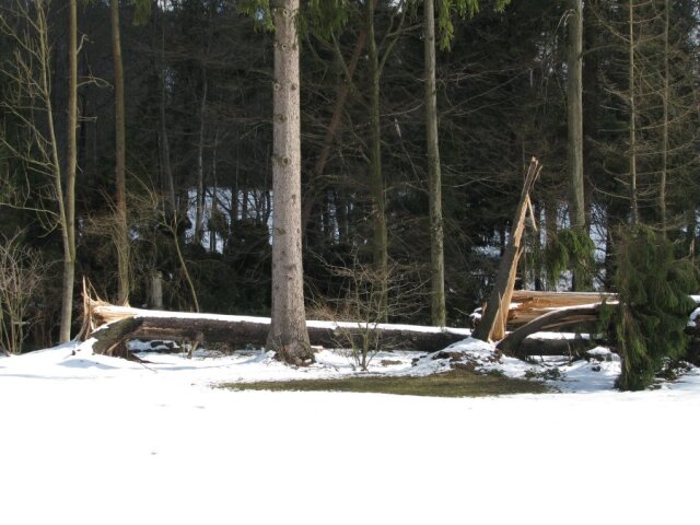 Betliar, park, víchrica