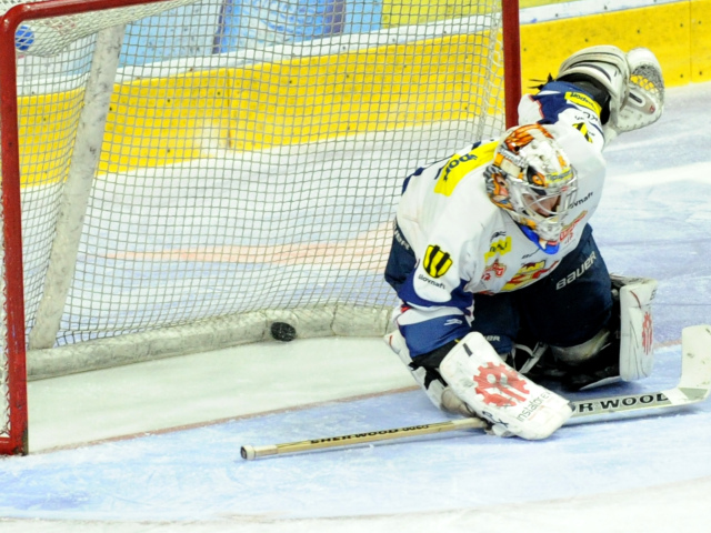 Marek Šimko, Zvolen