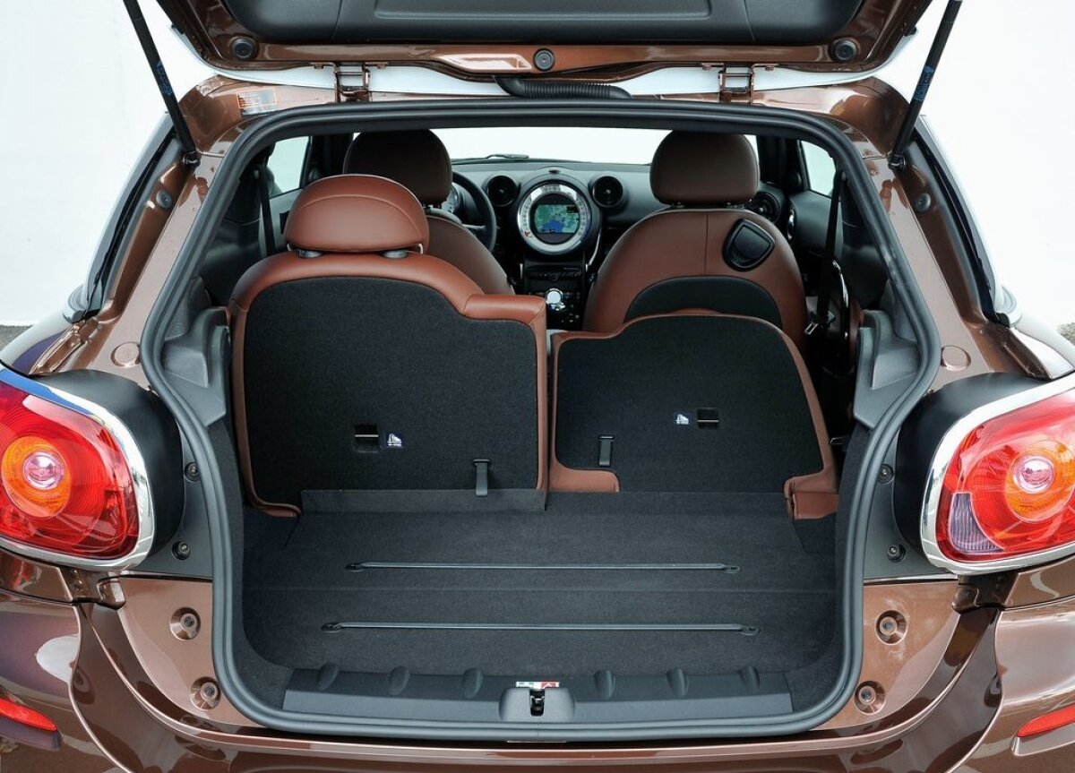 Mini Paceman