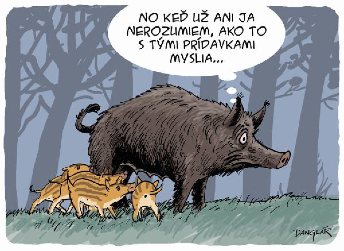 Danglár, 24.5.2013