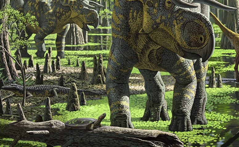 dinosaurus,