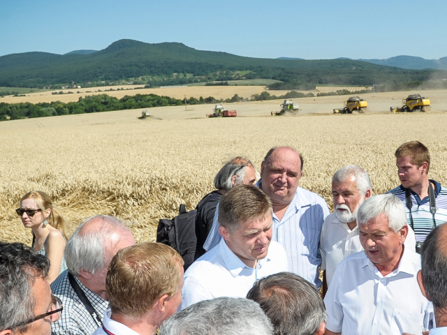 Fico, Neverice, poľnohospodári, žatva