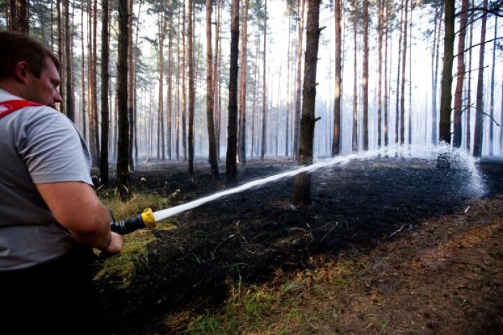 lesný požiar, Veľké Leváre