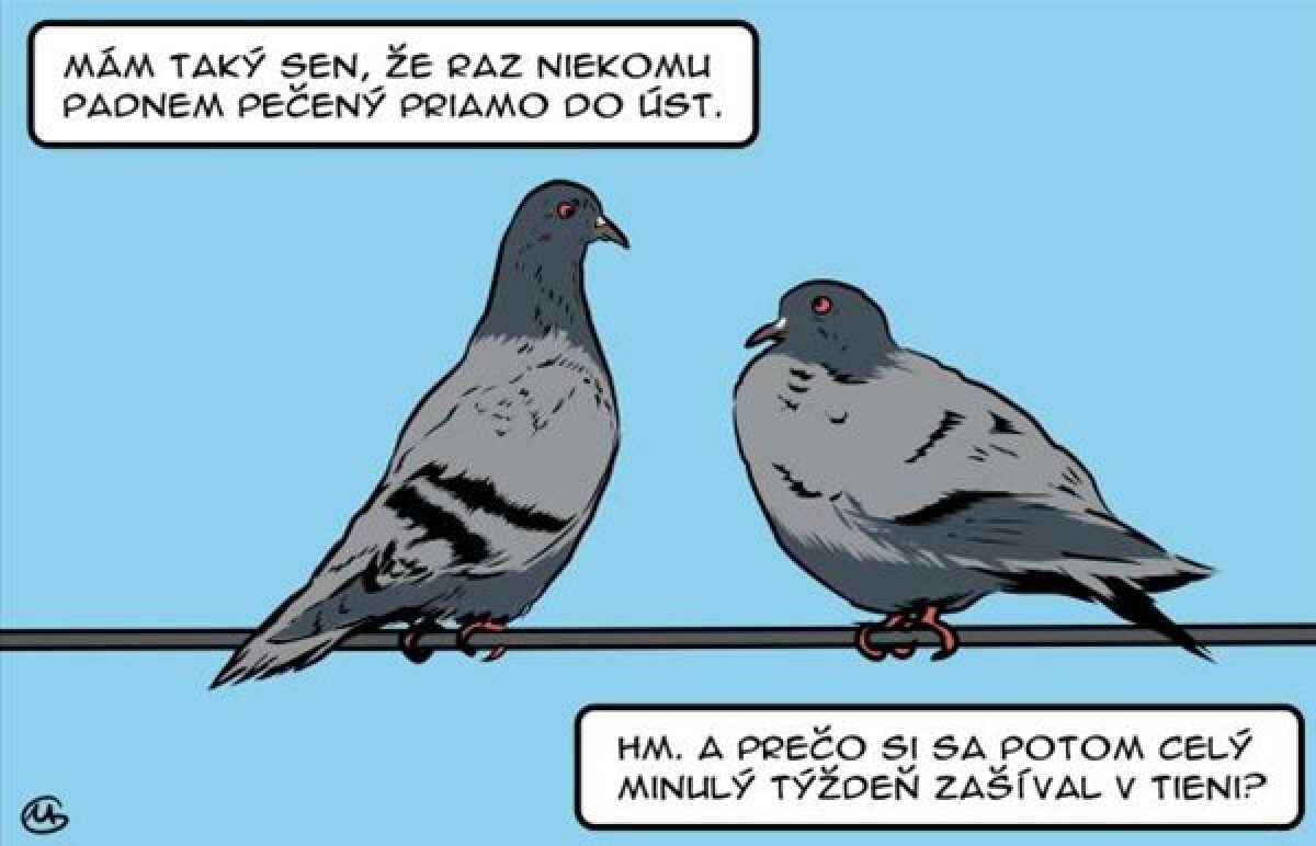 Gašparec, 12.8.2013