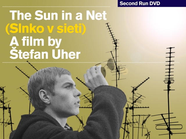 slnko v sieti