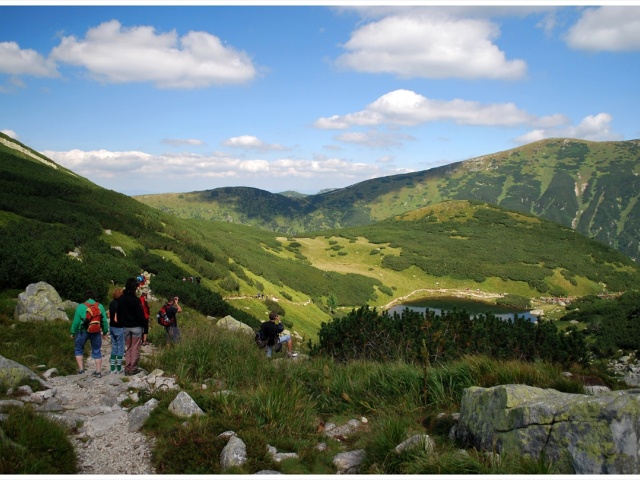 orava, 
