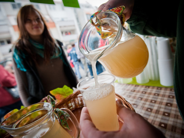 Vinobranie 2012