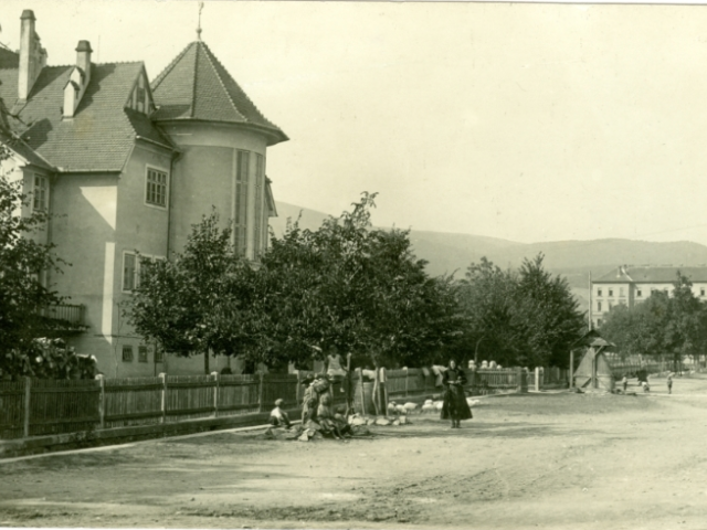 sirotinec, Modra