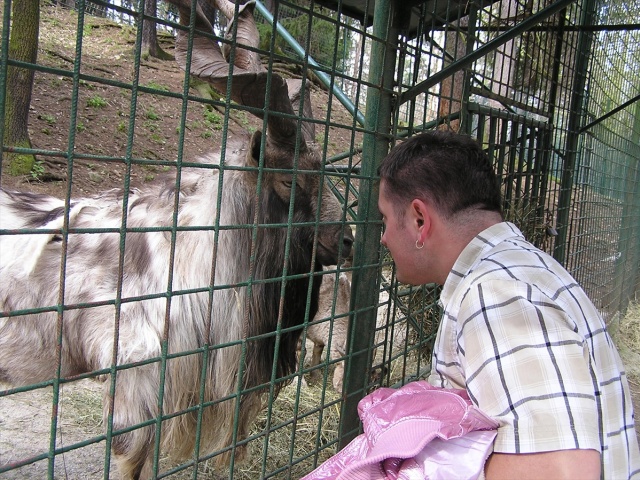 Bojnice ZOO