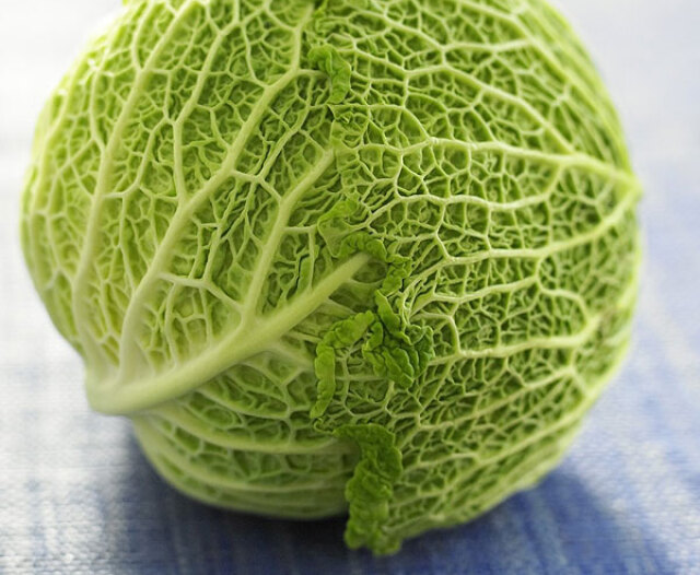 kel, zelenina