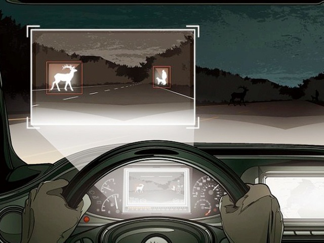 Mercedes Benz Night Vision animals