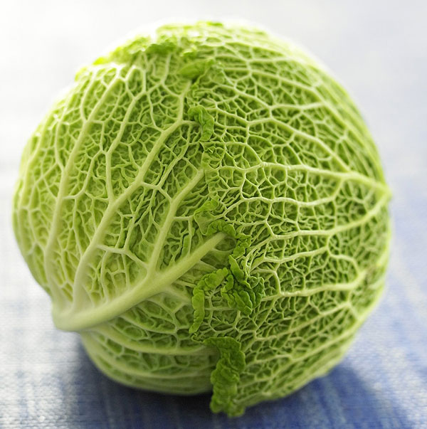 Kel - ilustračné foto.