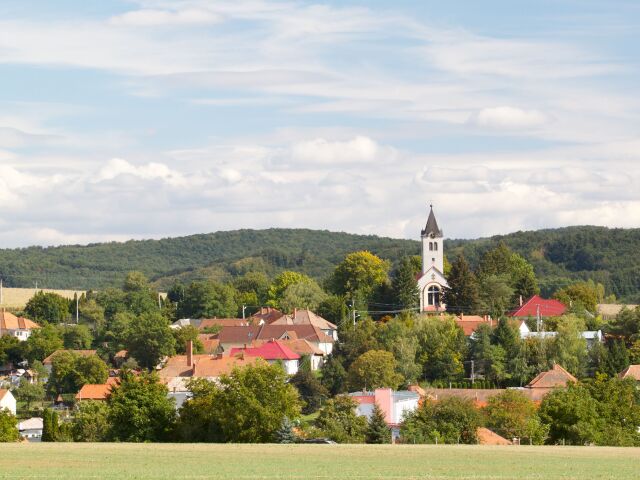 Nevidzany