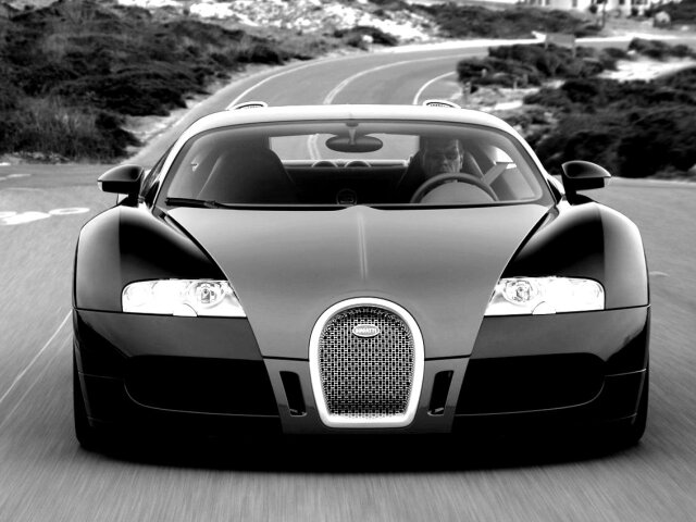 Bugatti-Veyron Fbg par Hermes 2009