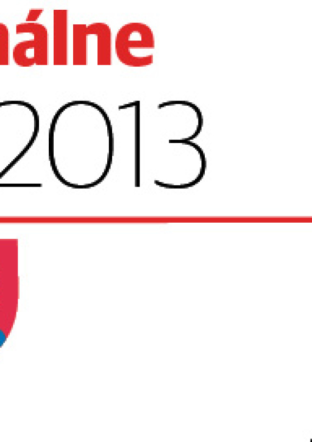 Regionálne voľby 2013