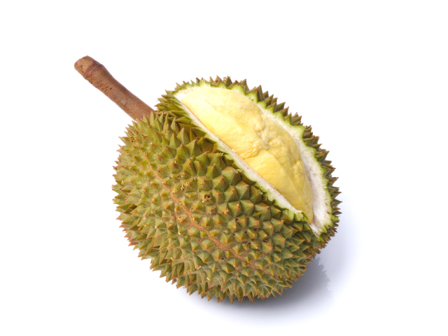 detailny durian 