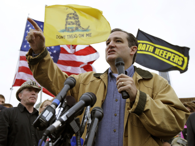 Ted Cruz, texas, senátor, USA, dlhová kríza