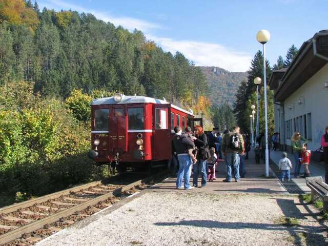 Rajecká Anča
