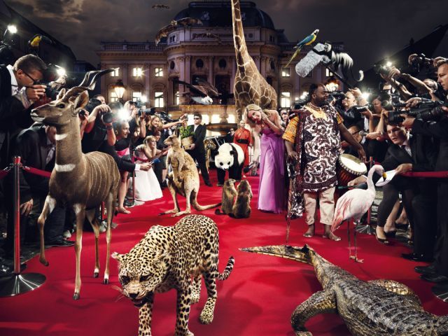 plagat leopard