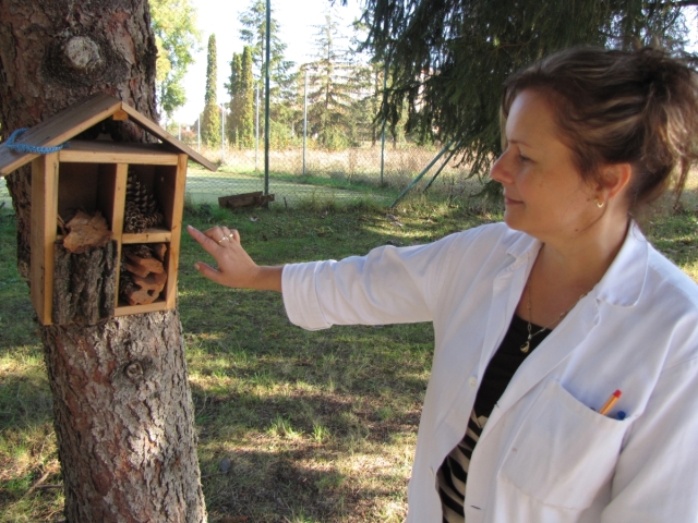 enviro, zelená škola, Miriam Garajová