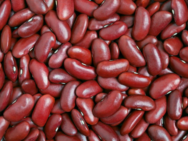 fazuľa
