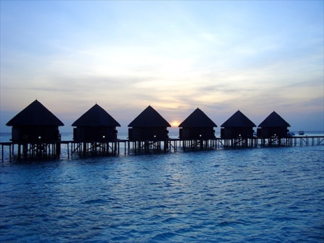 Maldivy